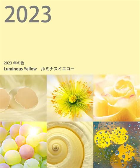 2023年顏色|2023代表色出爐！JAFCA「Luminous Yellow陽光暖黃。